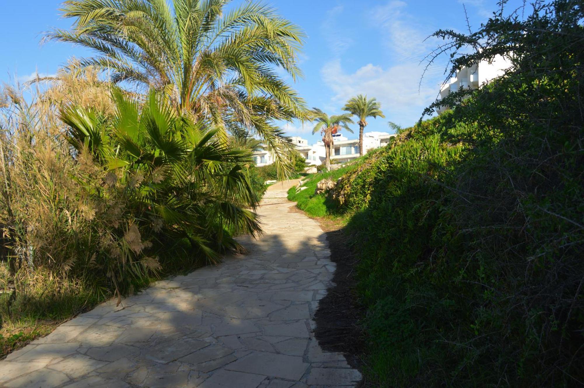 Olymp Luxury Villa D - Luxury Escape With Direct Beach Access And Unique Sunsets Paphos Ngoại thất bức ảnh